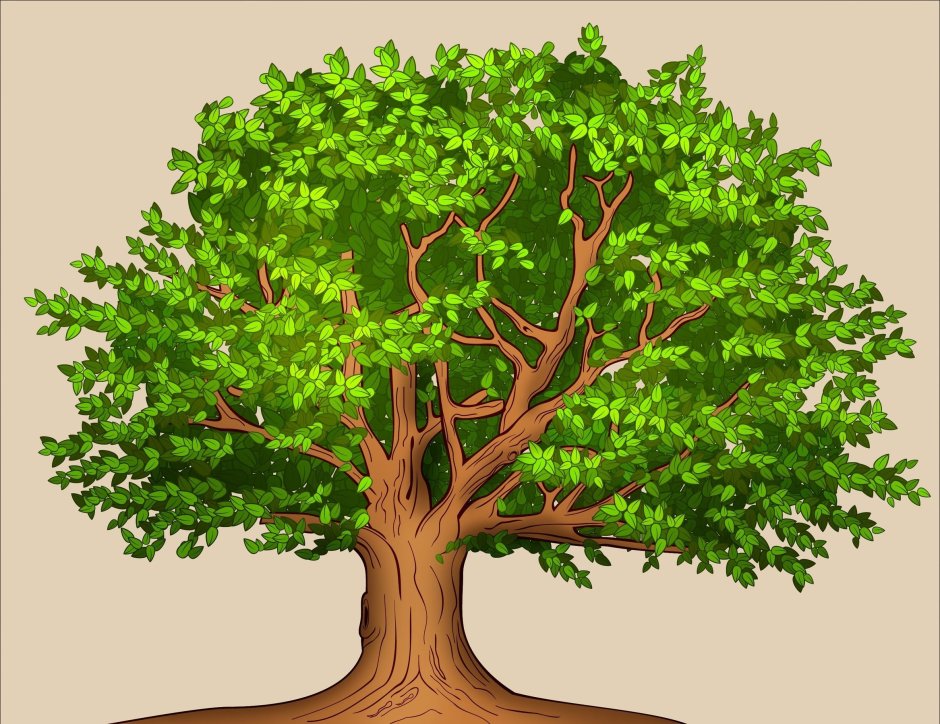 Дерево для генеалогического дерева