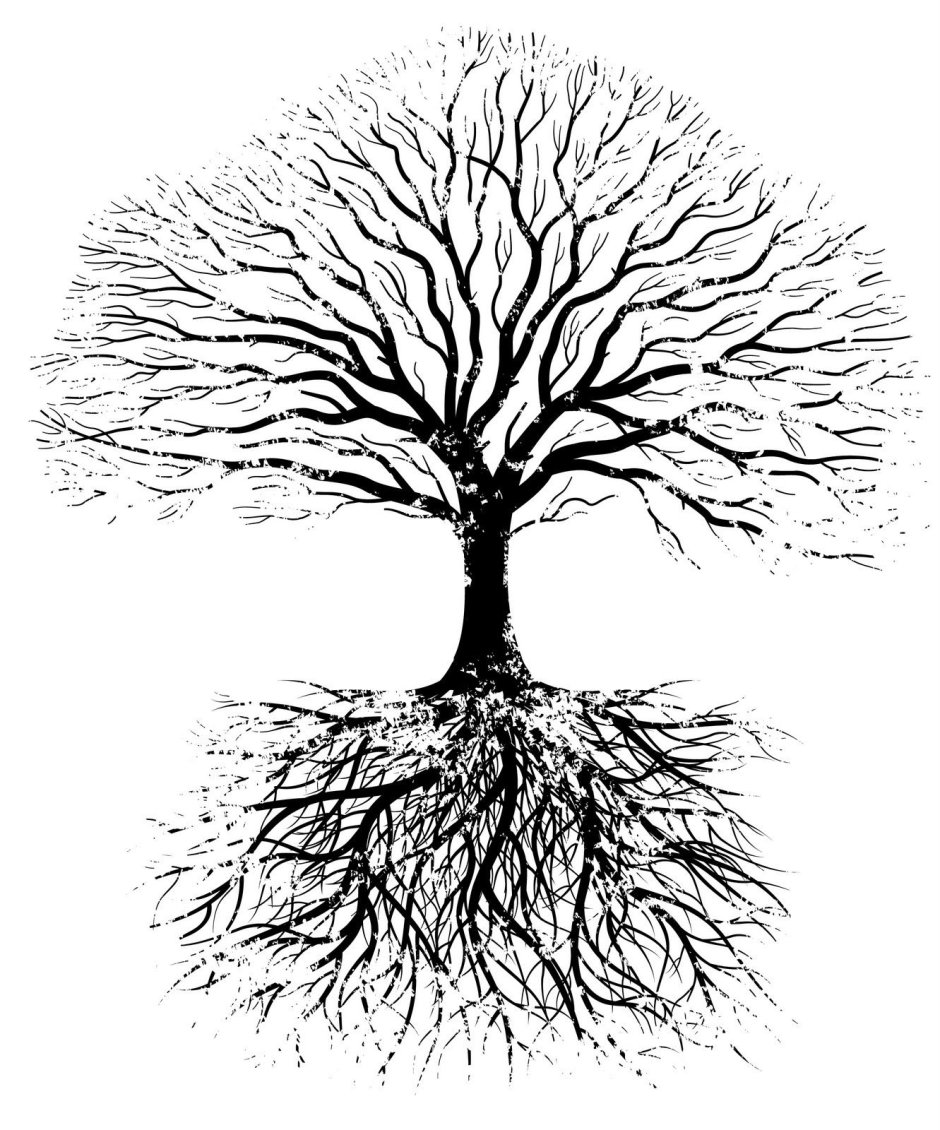 Дерево с корнями и кроной