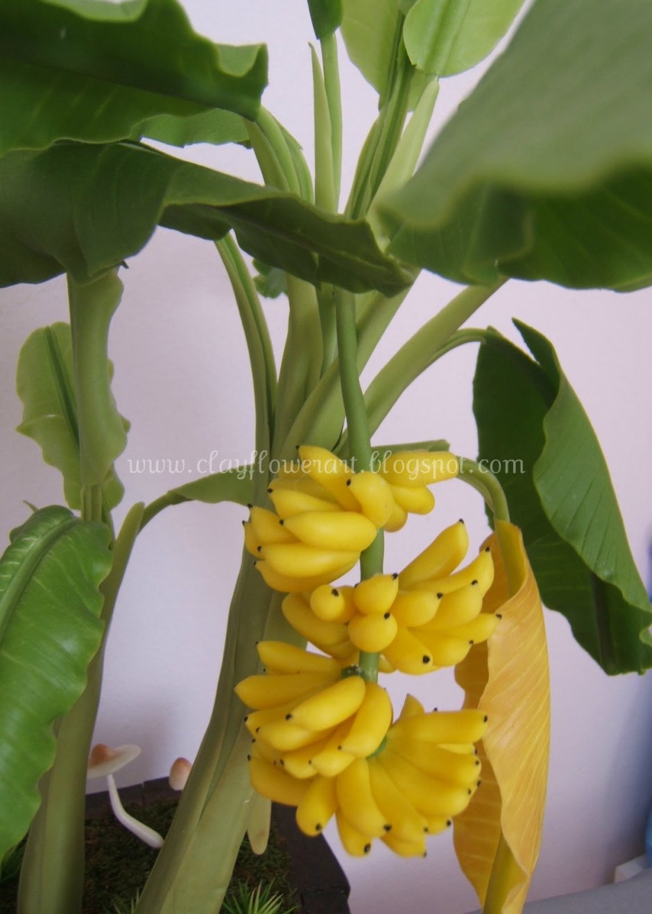 Киевский карликовый банан