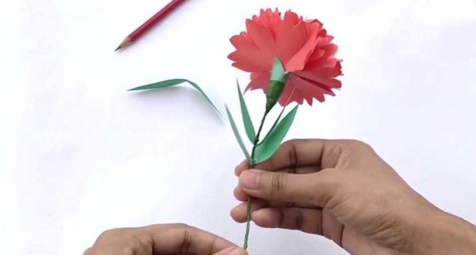 Цветы гвоздики из бумаги своими руками