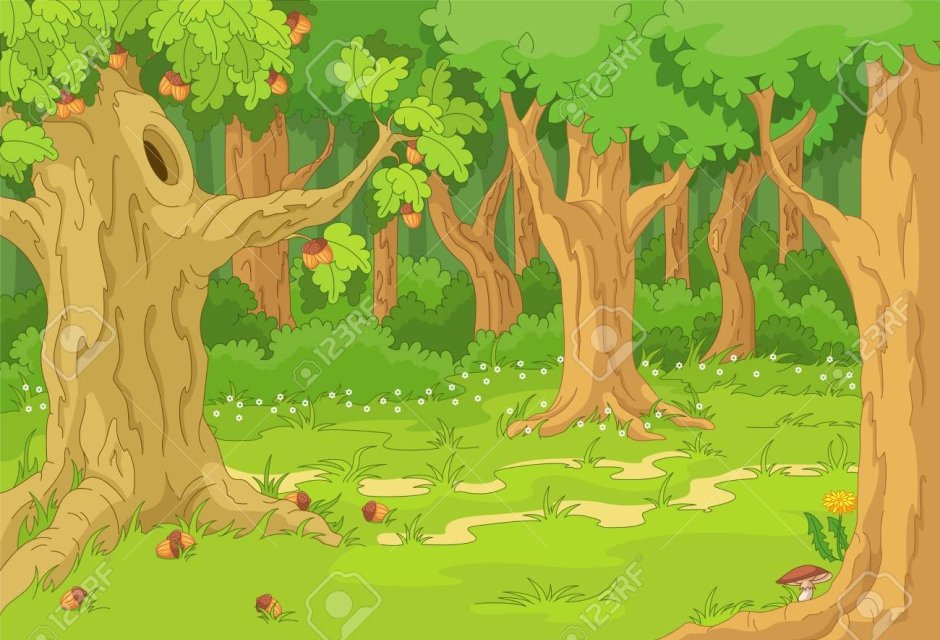 Дерево с дуплом в лесу