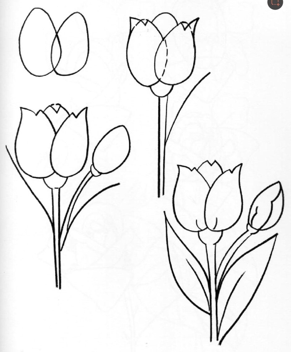 Легкие цветы для рисования