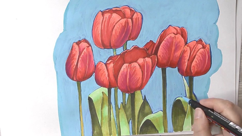 Тюльпаны рисунок карандашом лёгкий
