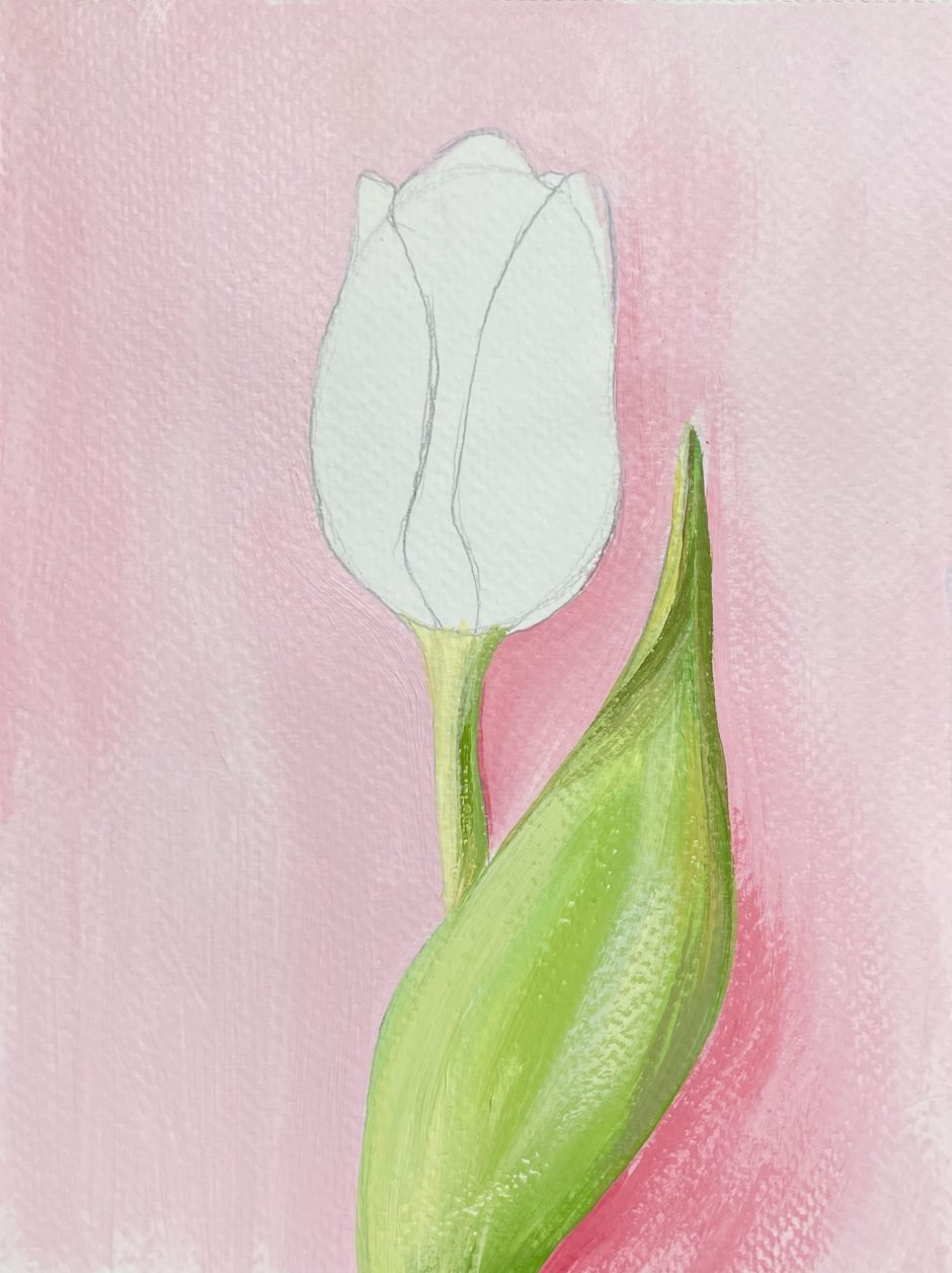 Ботаническая живопись акварелью тюльпан