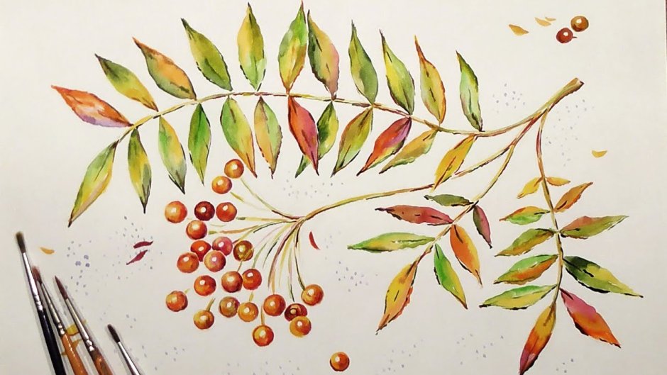 Рисование с натуры осенних листьев.