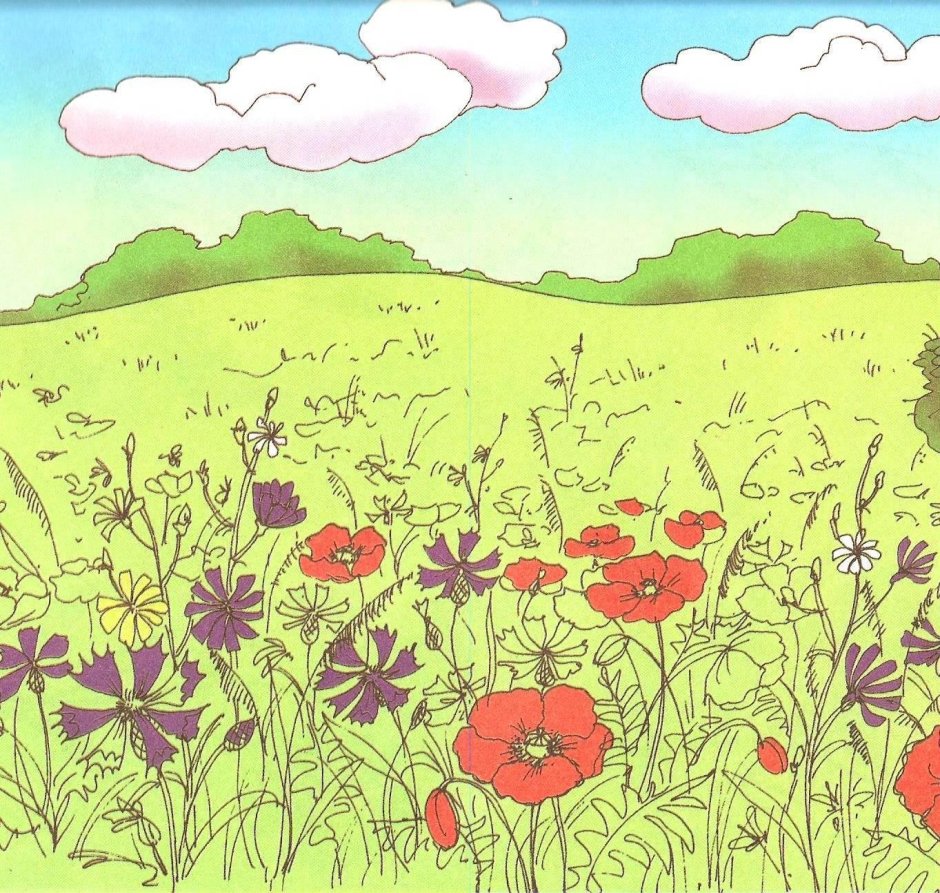 Рисование Поляна цветов для детей