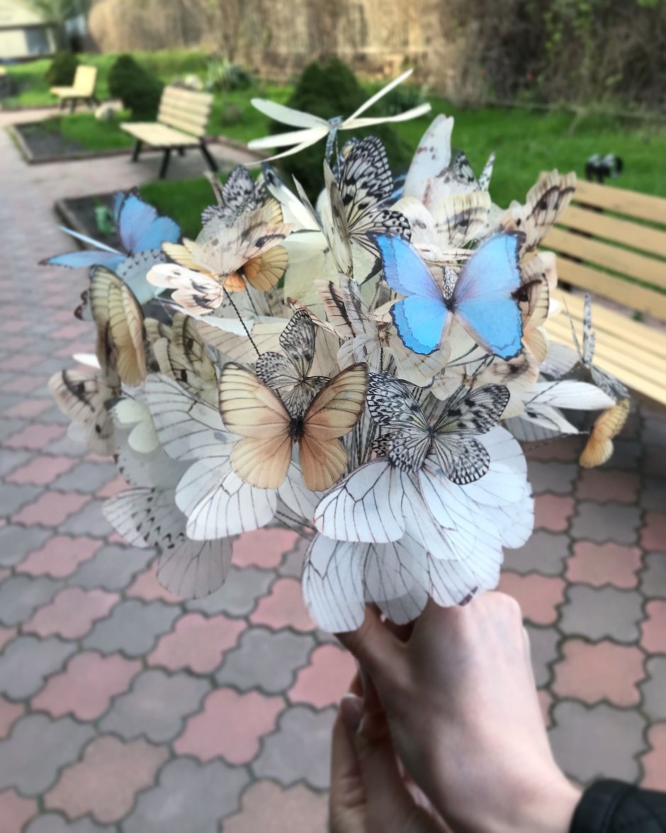 Необычный букет из бабочек