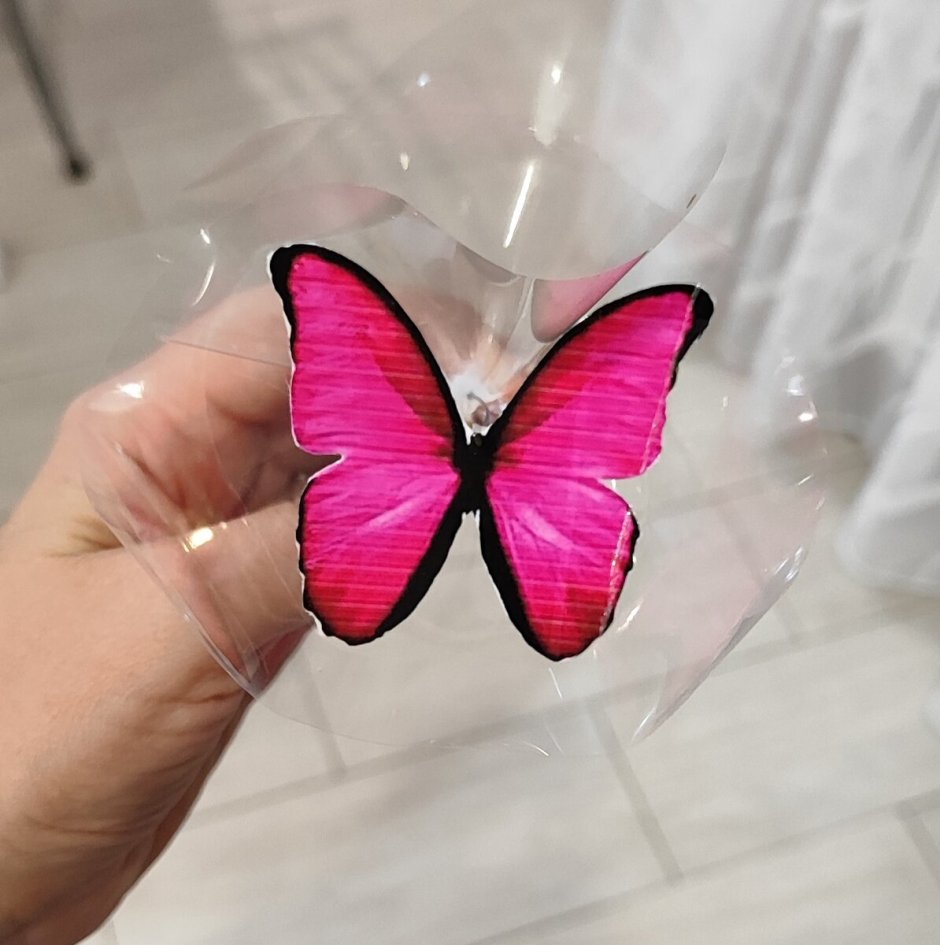 Живая бабочка в подарок