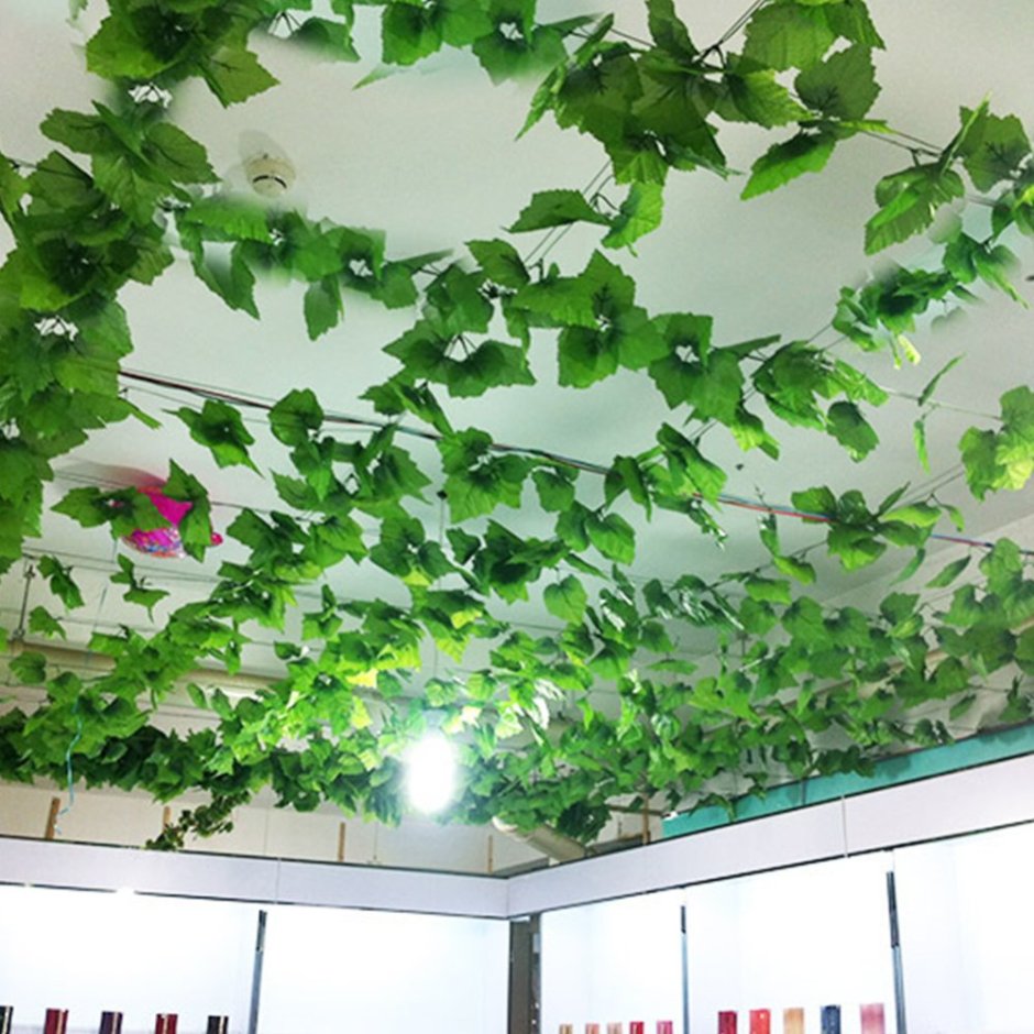 Подвесные растения на потолок