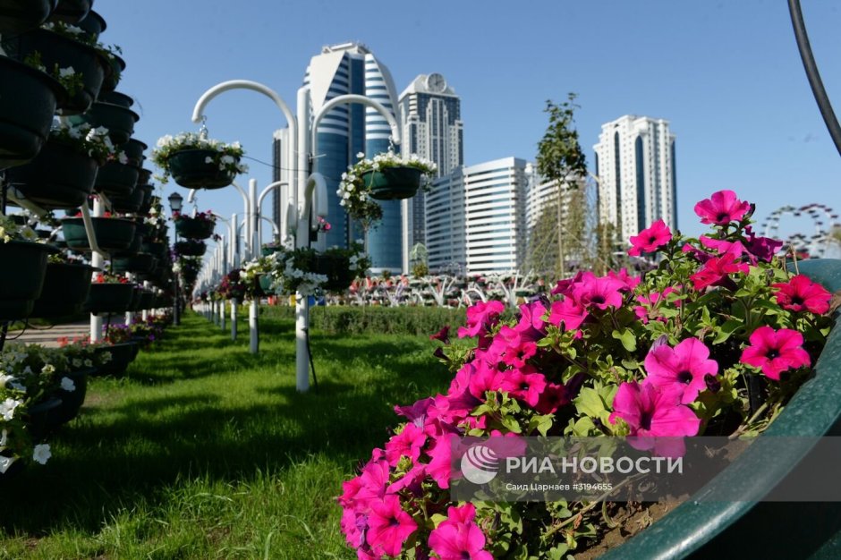 Цветочный парк в Грозном у комплекса «Грозный-Сити»