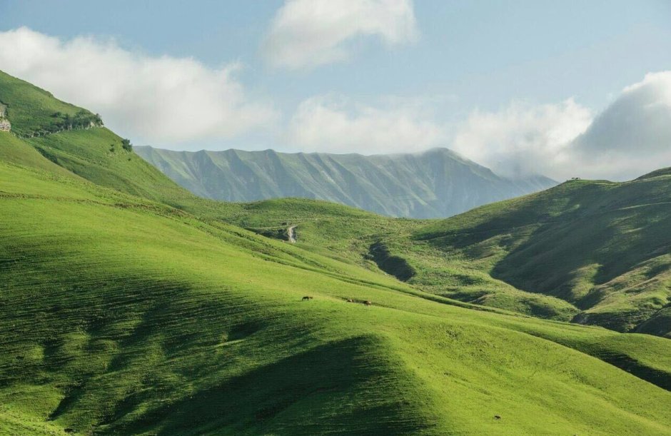 Природа и горы Чеченской Республики