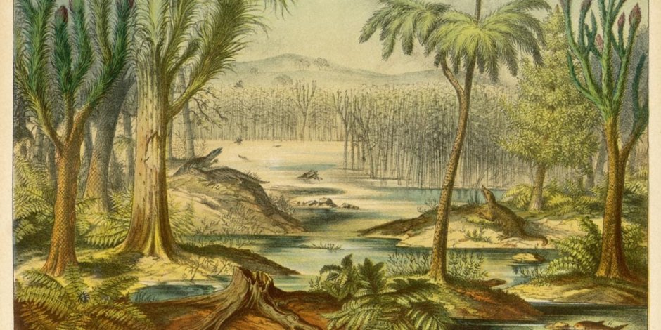 Пермский период палеозойской эры растения